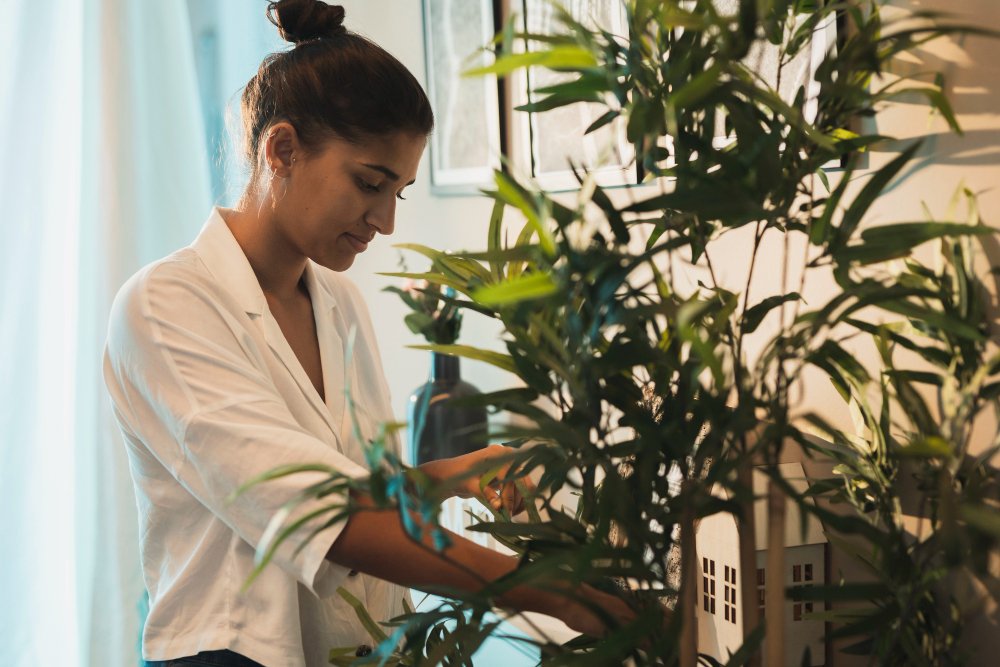 How to Trim a Rubber Plant