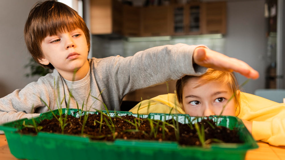 is zz plant toxic to children