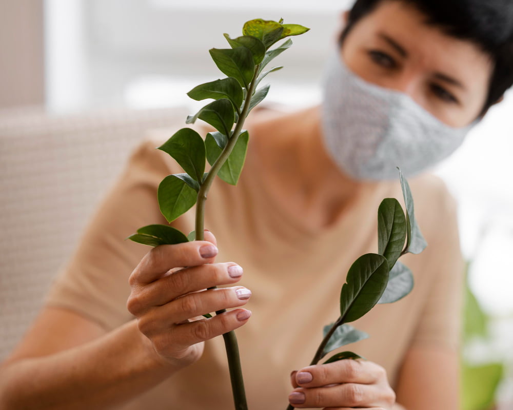 Time to Transplant Your Lipstick Plant