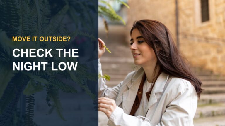 Can a Lipstick Plant Live Outside? — thumbnail text: CHECK THE NIGHT LOW