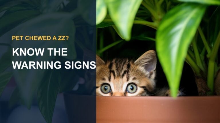 Are ZZ Plants Toxic to Cats and Dogs? Pet Safety Guide — thumbnail text: KNOW THE WARNING SIGNS