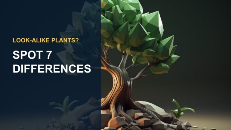 Money Tree vs Umbrella Tree (Schefflera): 7 Differences — thumbnail text: SPOT 7 DIFFERENCES