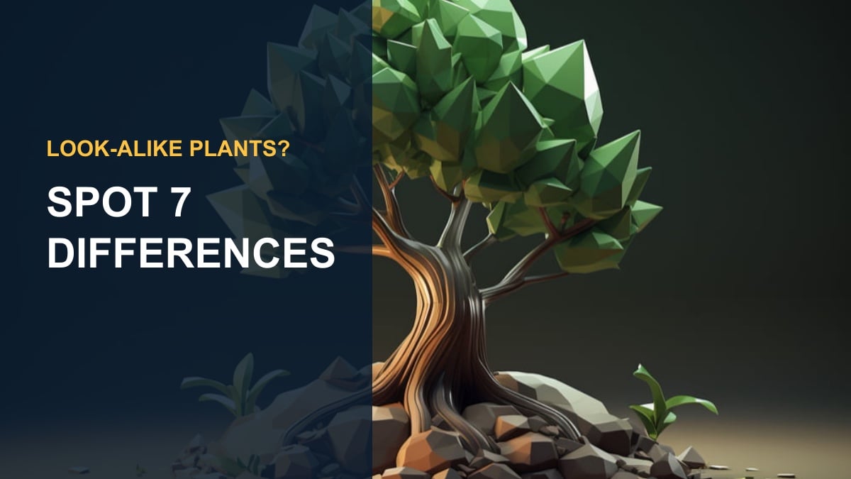 Money Tree vs Umbrella Tree (Schefflera): 7 Differences — thumbnail text: SPOT 7 DIFFERENCES