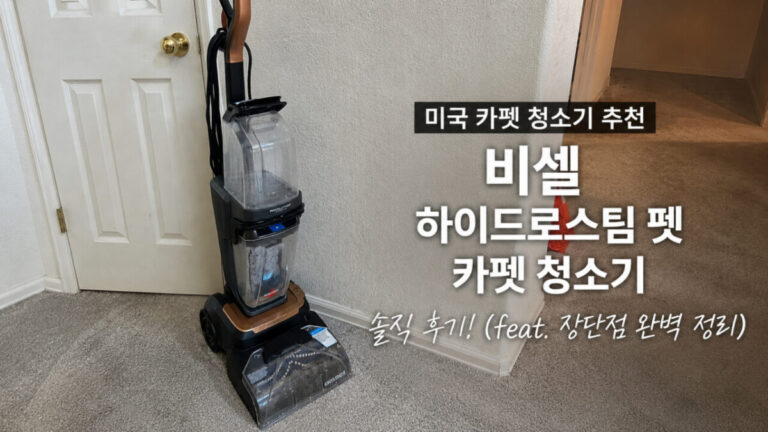 Best carpet cleaner for pets comparison in a dog home