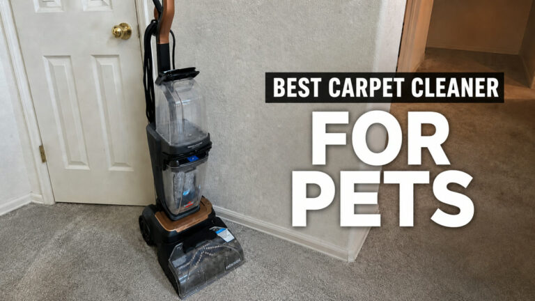 Best carpet cleaner for pets tested for hair stains and odor
